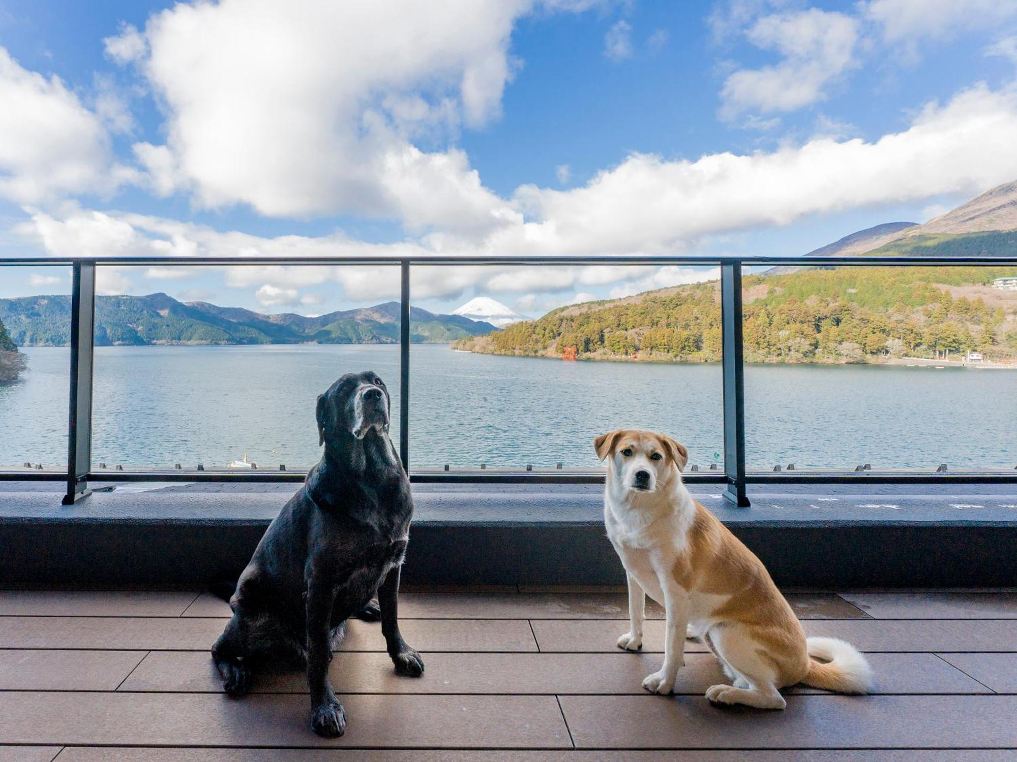 Rakuten Stay Fujimi Terrace Hakone Ashinoko Exteriér fotografie