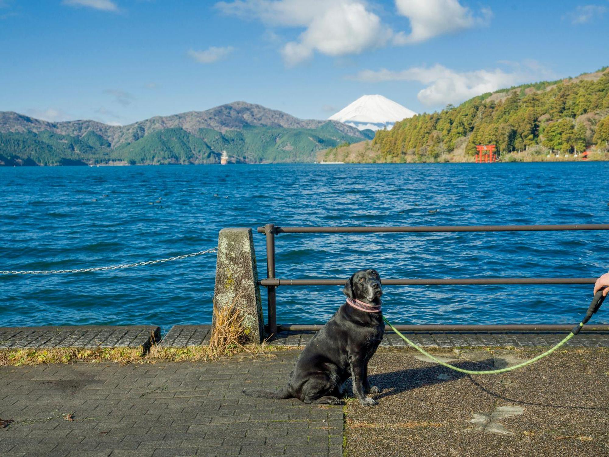 Rakuten Stay Fujimi Terrace Hakone Ashinoko Exteriér fotografie